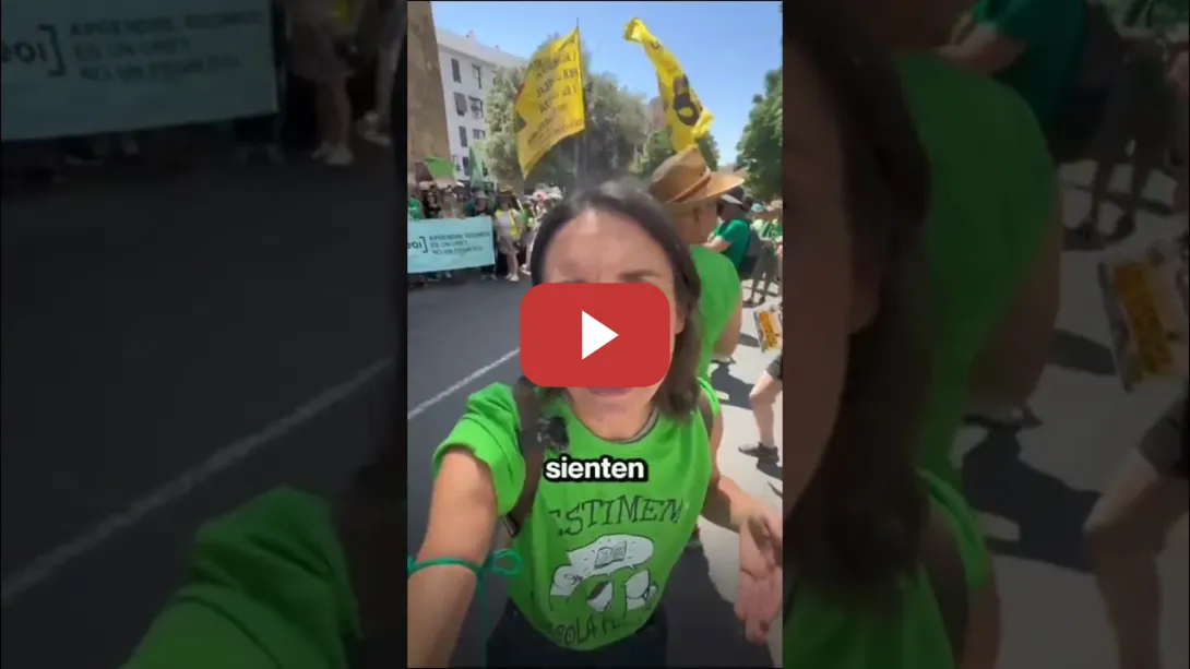 Embedded thumbnail for Irene Montero apoyando la huelga de profesores en Valencia.