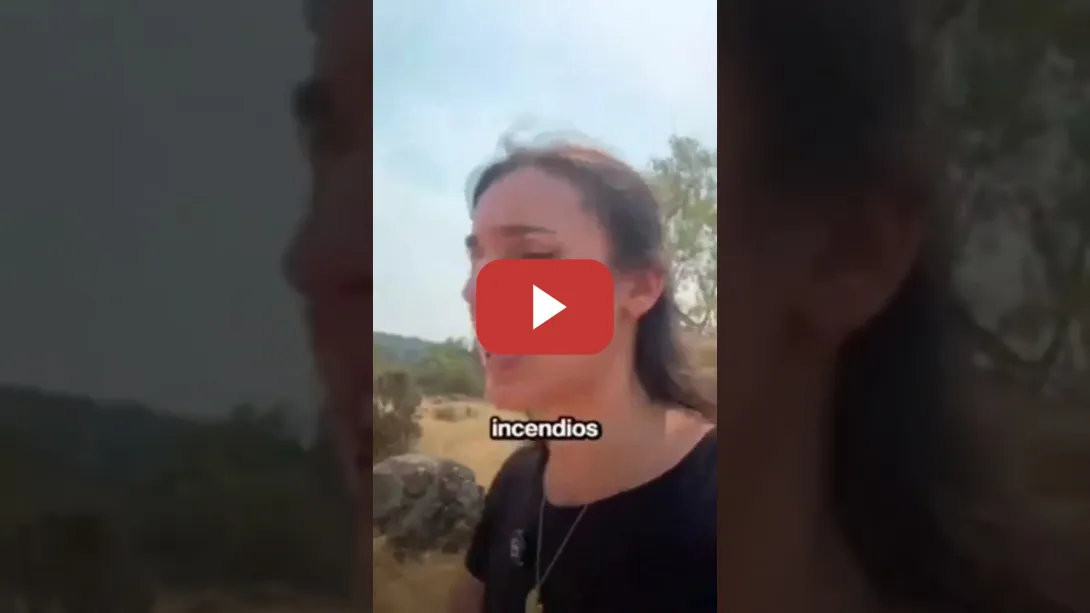 Embedded thumbnail for Irene Montero sobre los incendios que asolan España