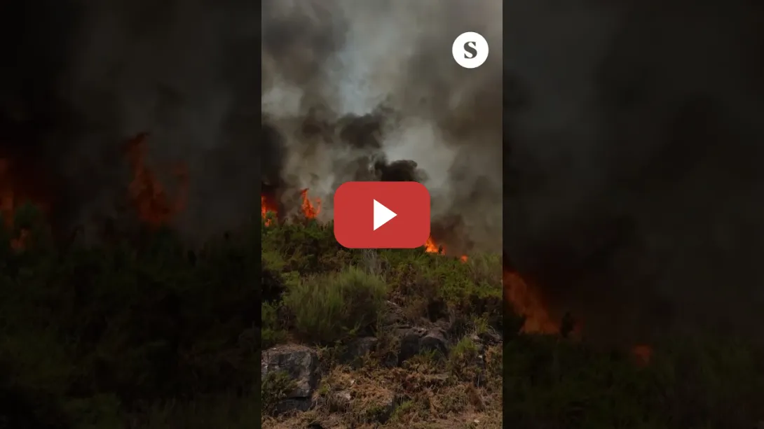 Embedded thumbnail for La batalla contra el fuego no cesa en la zona cero del incendio de O Ribeiro, en Caraballeda de Avia