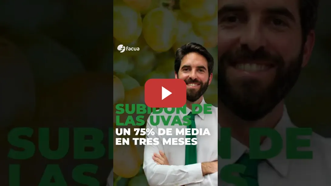 Embedded thumbnail for Subidón en las uvas: un 75% de media en el último trimestre