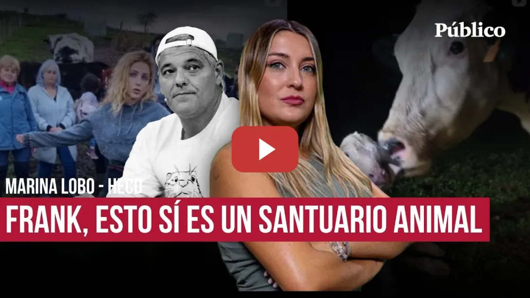 Embedded thumbnail for Lección a Frank Cuesta: así es un santuario animal de verdad, con La Manada Cántabra