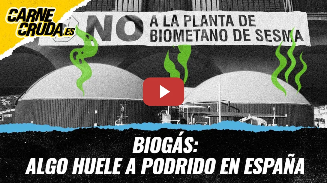 Embedded thumbnail for T12x74 - Biogás: algo huele a podrido en España