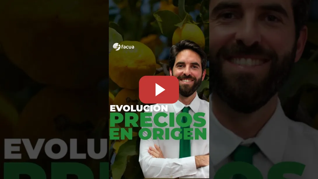 Embedded thumbnail for EVOLUCIÓN DE LOS PRECIOS EN ORIGEN