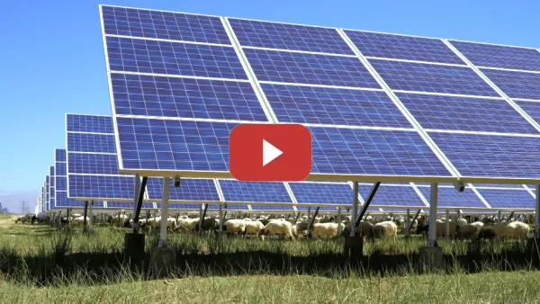 Embedded thumbnail for Avanzar hacia el desarrollo sostenible: Energía solar fotovoltaica y ovejas