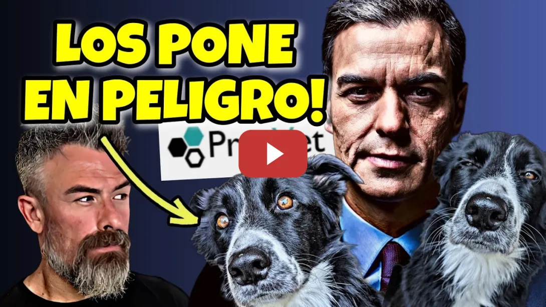 Embedded thumbnail for PRESVET: Los VETERINARIOS avisan de la LEY que pone en PELIGRO a MILES de ANIMALES
