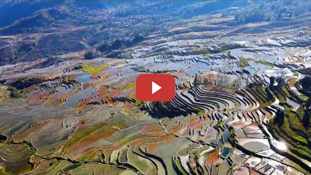 Embedded thumbnail for Avanzar hacia el desarrollo sostenible: La sabiduría ecológica de las terrazas milenarias | CGTN