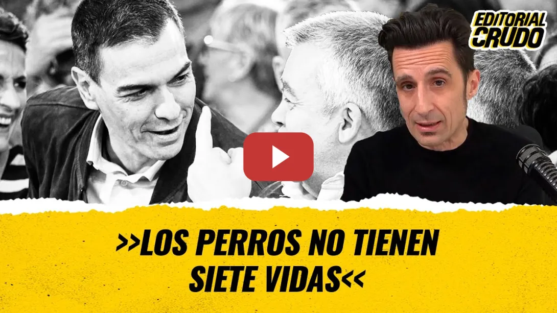 Embedded thumbnail for Los perros no tienen siete vidas #EditorialCrudo