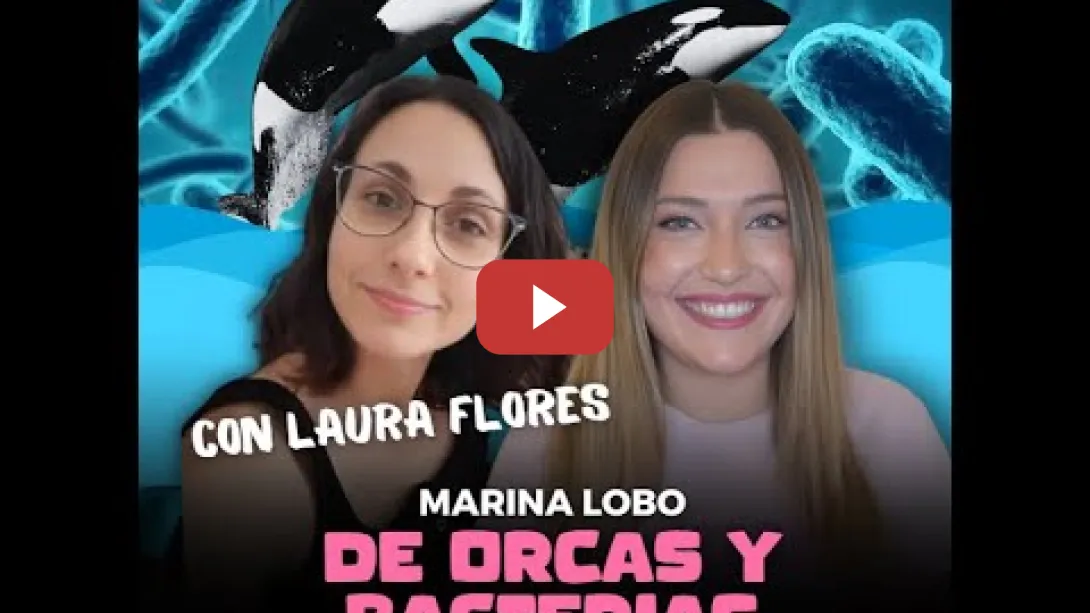 Embedded thumbnail for HECD! 567 | Peinado pide imputar a Bolaños + ¿Alto al fuego? + Orcas y bacterias, con Laura Flores