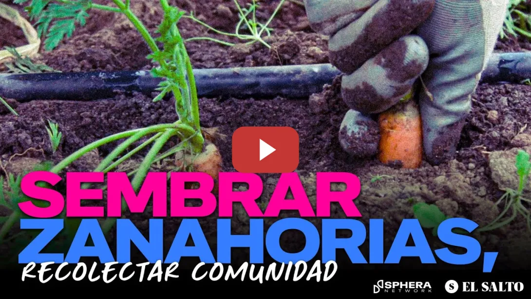 Embedded thumbnail for Sembrar zanahorias, recolectar comunidad