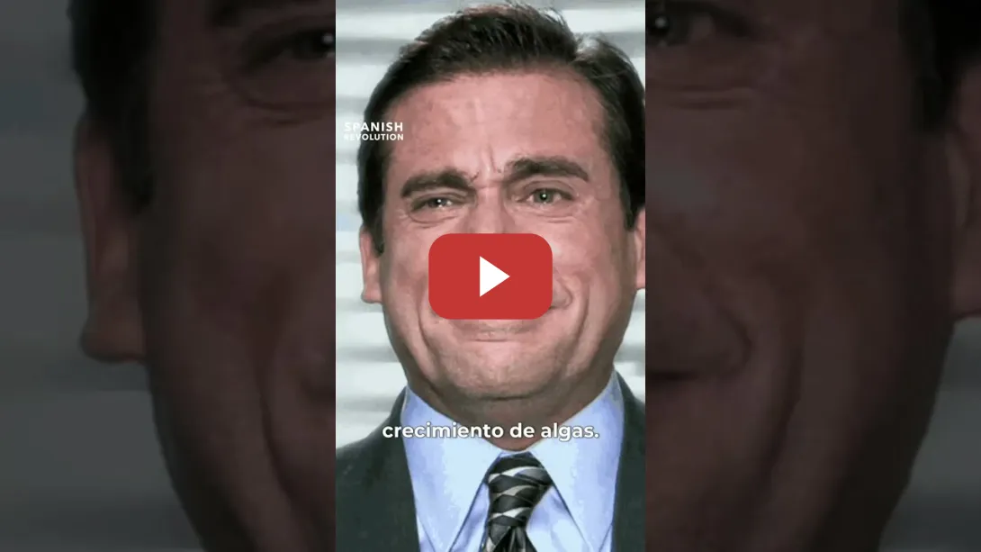 Embedded thumbnail for Presidente meme