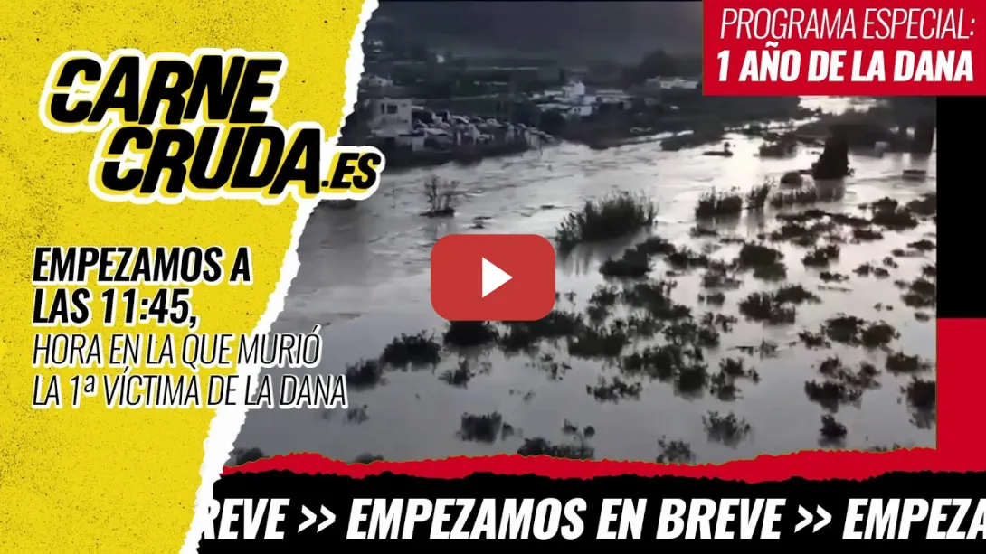 Embedded thumbnail for ESPECIAL DANA A LAS 11.45 - Cronología del año de la infamia (CARNE CRUDA)