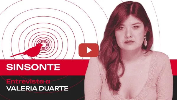 Embedded thumbnail for ¿Qué hay detrás de las investigaciones contra Evo Morales y García Linera? | Valeria Duarte