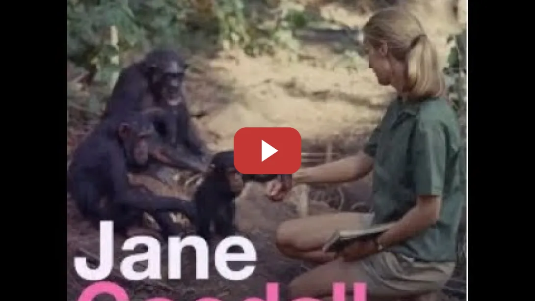 Embedded thumbnail for Esto no es un mensaje de Jane Goodall, es una brújula.