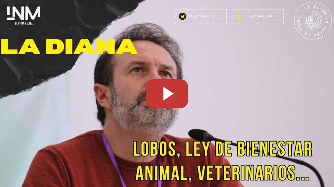 Embedded thumbnail for La Diana 2X28 | Joserra Becerra: “Trabajamos para facilitar el trabajo de los veterinarios”