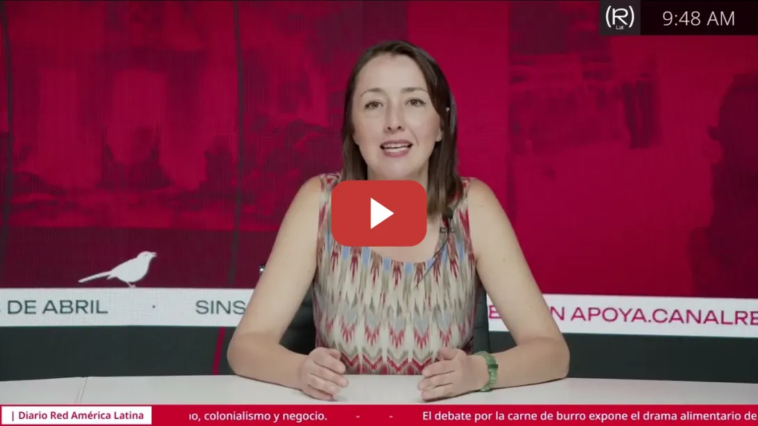 Embedded thumbnail for La trampa de la diversidad. Cuando la inclusión ayuda al capital | Ana Emilia Felker, Ojo Pirata