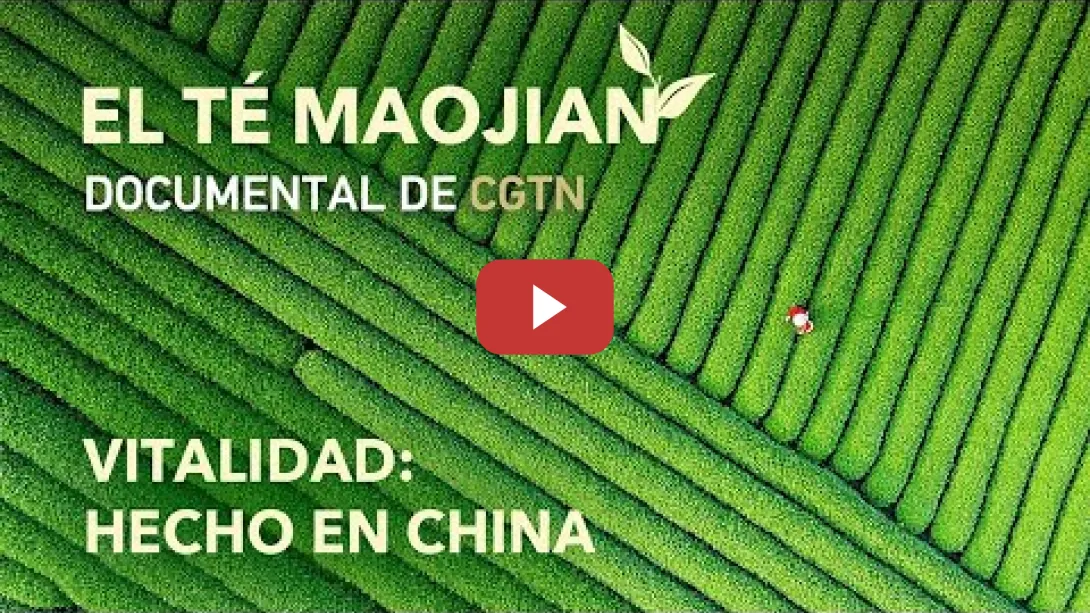 Embedded thumbnail for Vitalidad: hecho en China: El té Maojian | CGTN