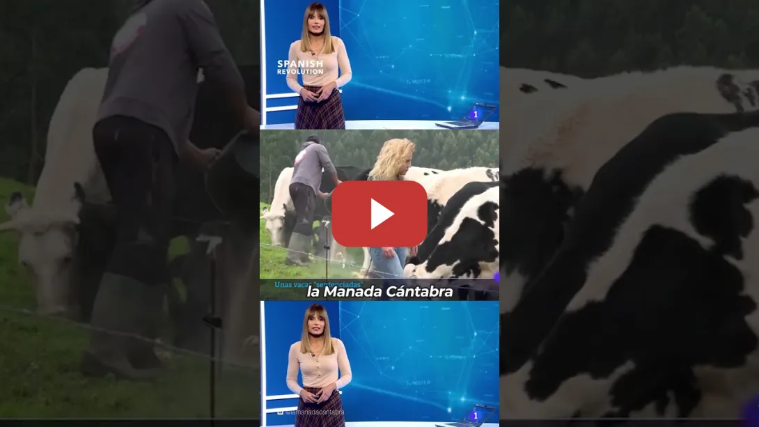 Embedded thumbnail for Nos parte el alma