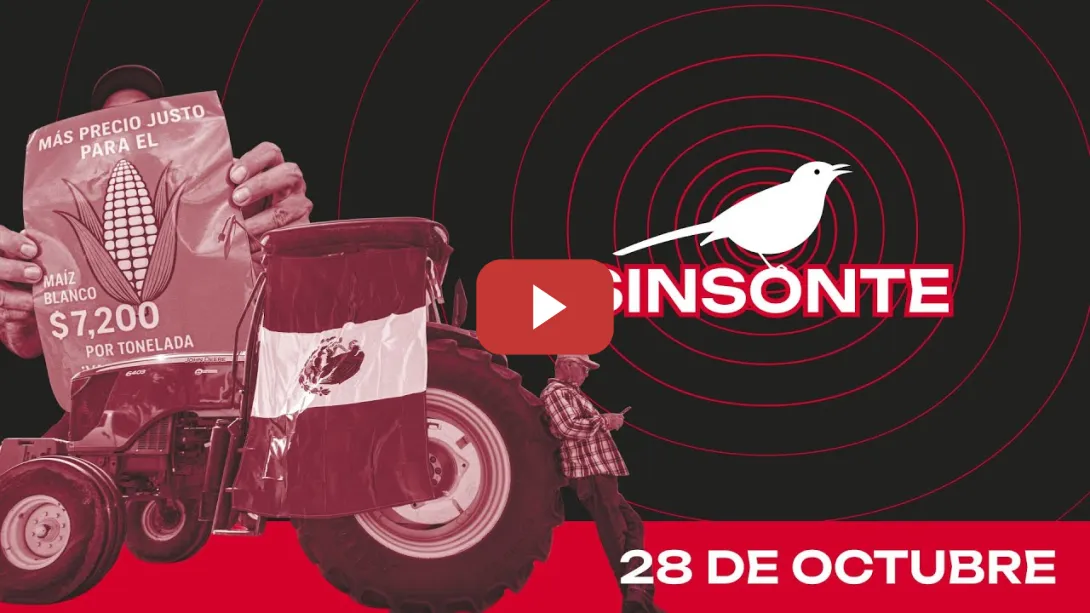Embedded thumbnail for Paro nacional agrícola. Productores reclaman precios justos | SINSONTE 28 de octubre de 2025 1x17
