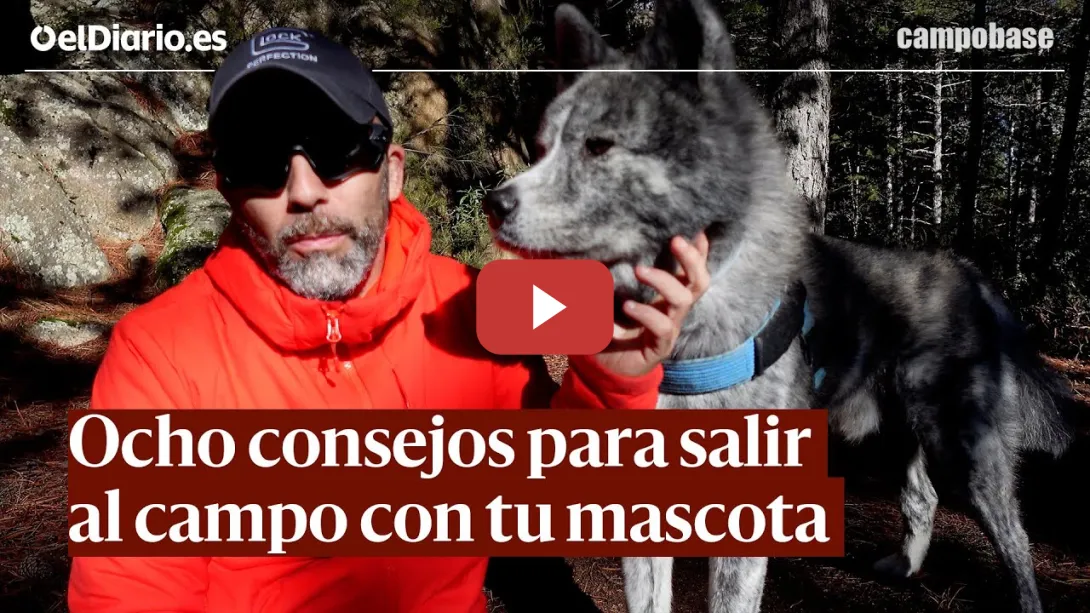 Embedded thumbnail for Ocho consejos para salir con tu mascota al campo | CAMPOBASE