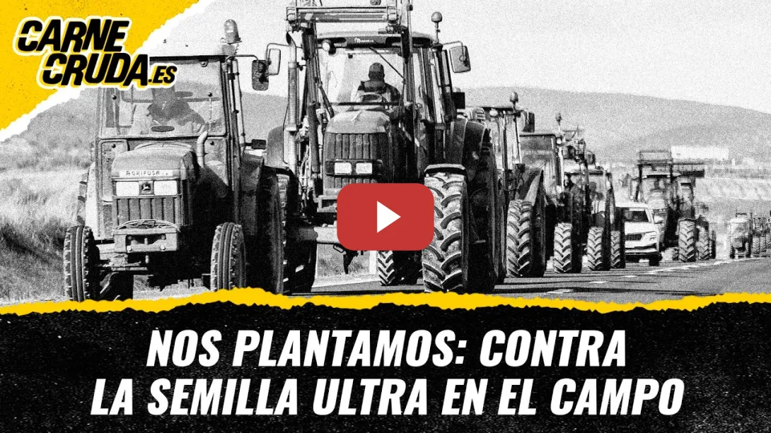 Embedded thumbnail for T12x113 - Nos plantamos: contra la semilla ultra en el campo (CARNE CRUDA)