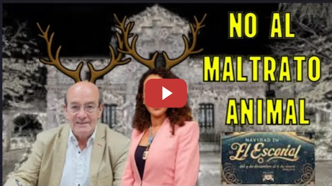 Embedded thumbnail for No al maltrato de los Renos en El Escorial