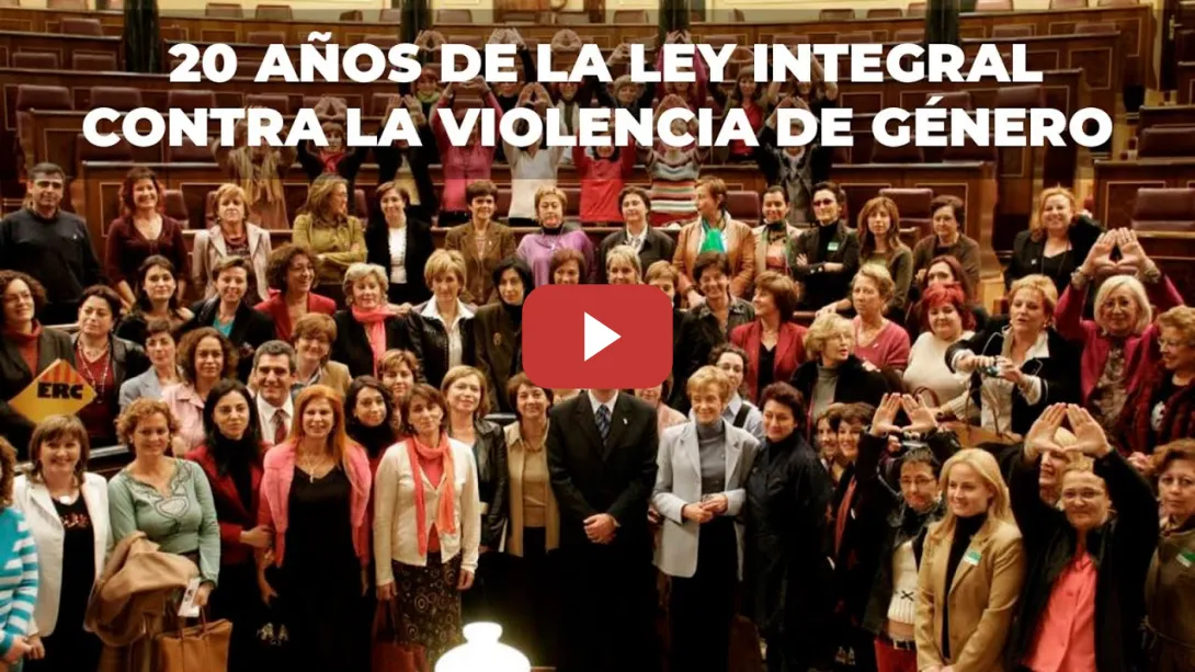Embedded thumbnail for PSOE / 💜 20º Aniversario de la Ley Integral Contra La #ViolenciaDeGénero.