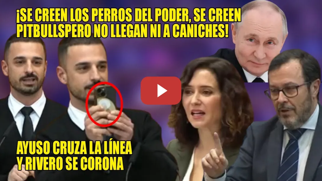 Embedded thumbnail for ATENTOS a la JOYA de Rivero para ANIQUILAR a los VAGOS de Vox y Ayuso🔥¡Son CANICHES, no PITBULLS!