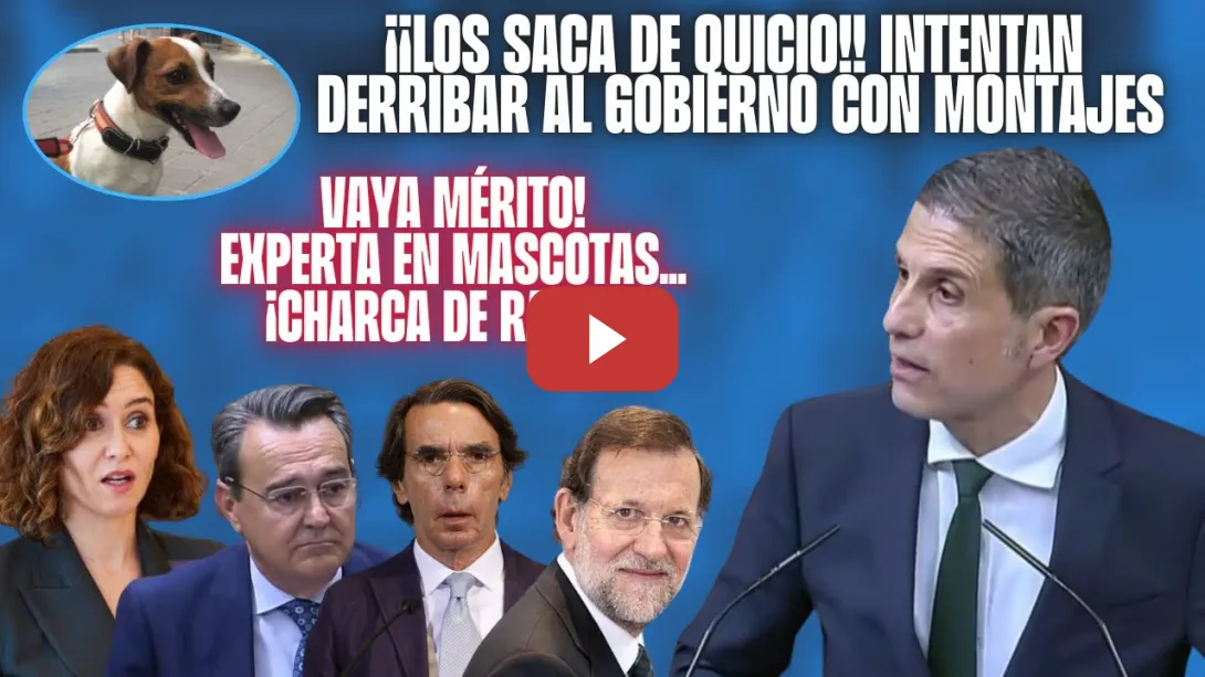 Embedded thumbnail for Socialista DESQUICIA al PP x la PERSECUCIÓN contra SÁNCHEZ &quot;AYUSO, el PERRO PECAS, la CHARCA AGURRE&quot;