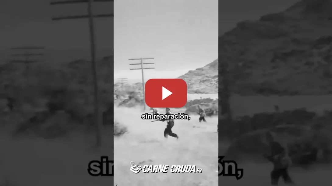 Embedded thumbnail for Las dos Españas y la "guerra fratricida" por @josefinetable en CARNE CRUDA