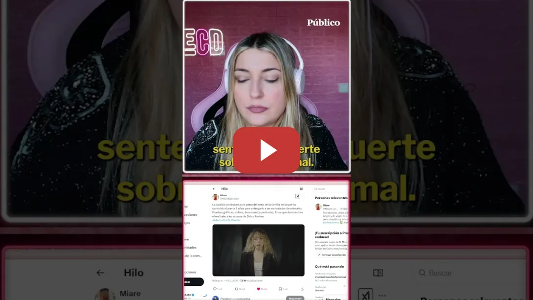 Embedded thumbnail for Miare denuncia y expone su drama: la justicia entregará su perro a un maltratador de animales