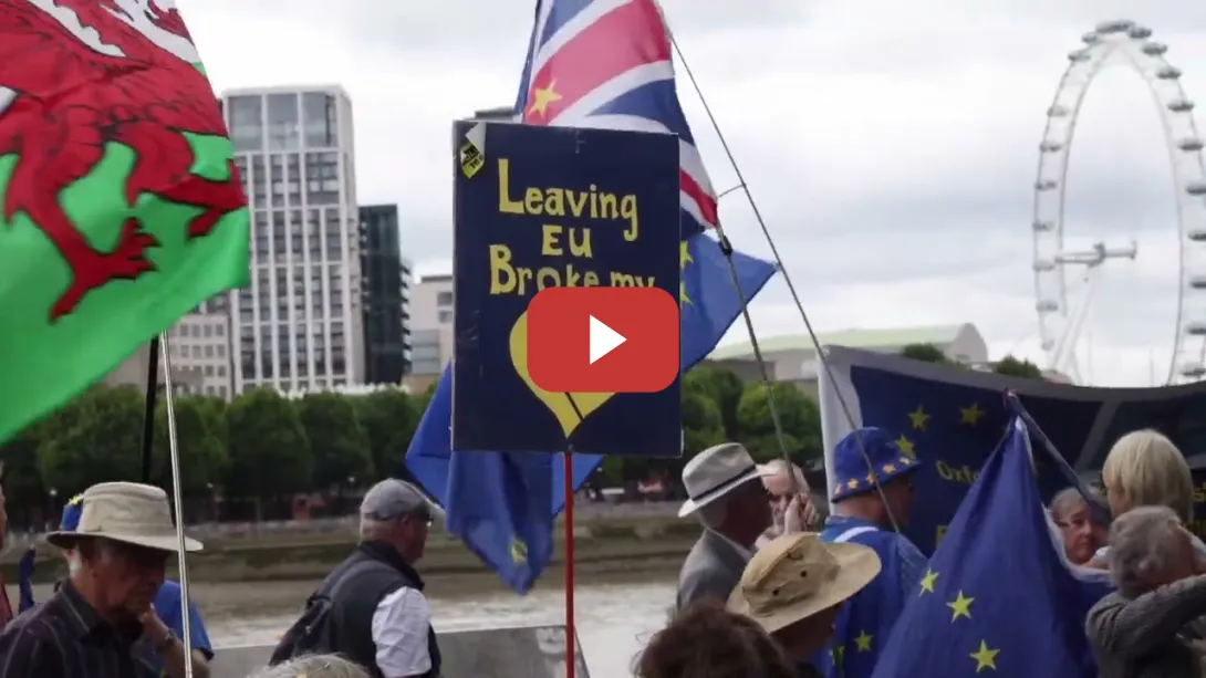 Embedded thumbnail for Cientos de británicos se concentran para pedir el retorno a la UE el pasado fin de semana