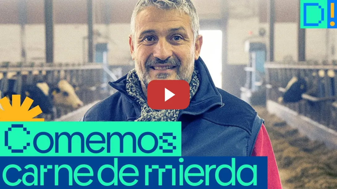 Embedded thumbnail for Ganadero habla claro y señala las causas de la peste porcina