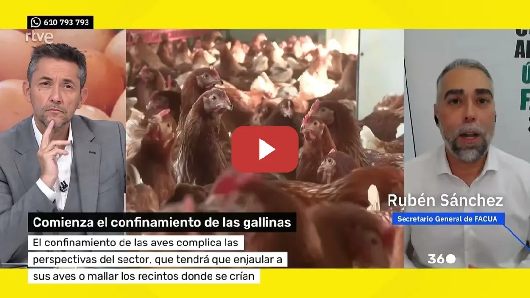 Embedded thumbnail for Denunciada la web que vende productos del grupo facista NÚCLEO NACIONAL