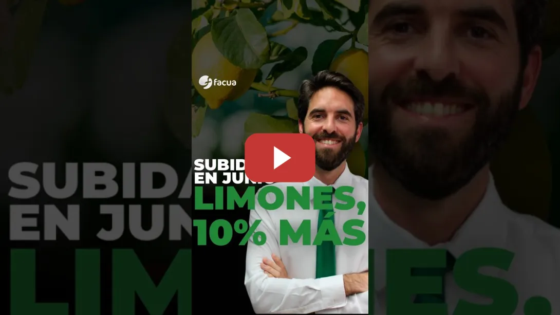 Embedded thumbnail for SUBIDAS EN JUNIO: LIMONES, 10% MÁS