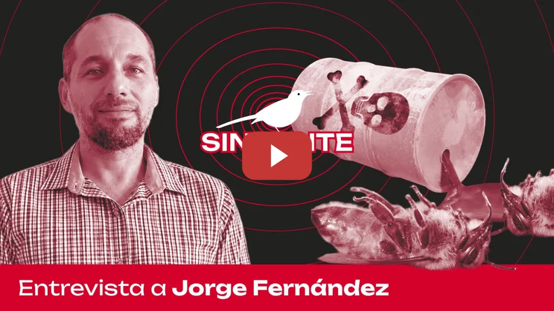 Embedded thumbnail for ¿LA CORTE PUEDE DECIDIR SI LAS ABEJAS SON SUJETOS DE DERECHO? | Jorge Fernández en Sinsonte