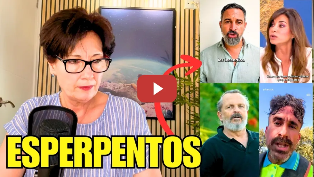 Embedded thumbnail for TODOS LOS BULOS DE PP Y VOX Y DEMÁS PERSONAJES SOBRE LOS INCENDIOS EN ESPAÑA