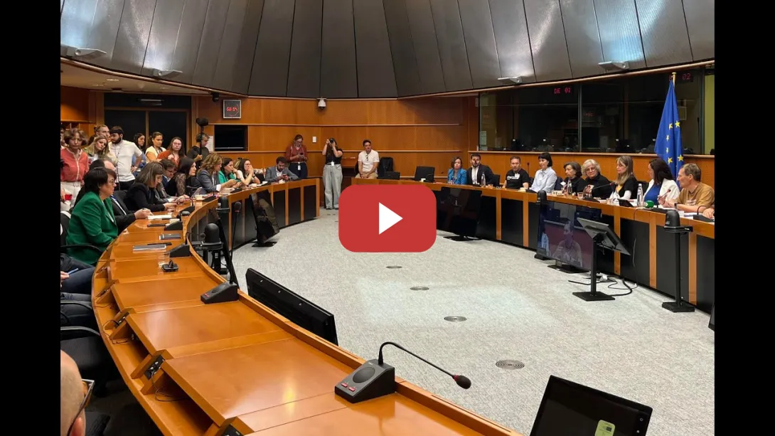 Embedded thumbnail for Eurodiputados reciben a las víctimas de la dana en Bruselas