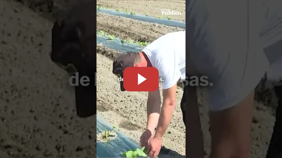 Embedded thumbnail for Los frentes de Yolanda Díaz: subir el SMI y reducir la jornada laboral. Lo explicamos