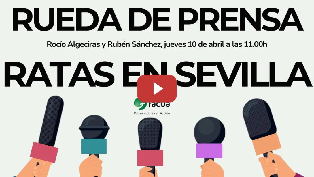 Embedded thumbnail for RATAS EN SEVILLA