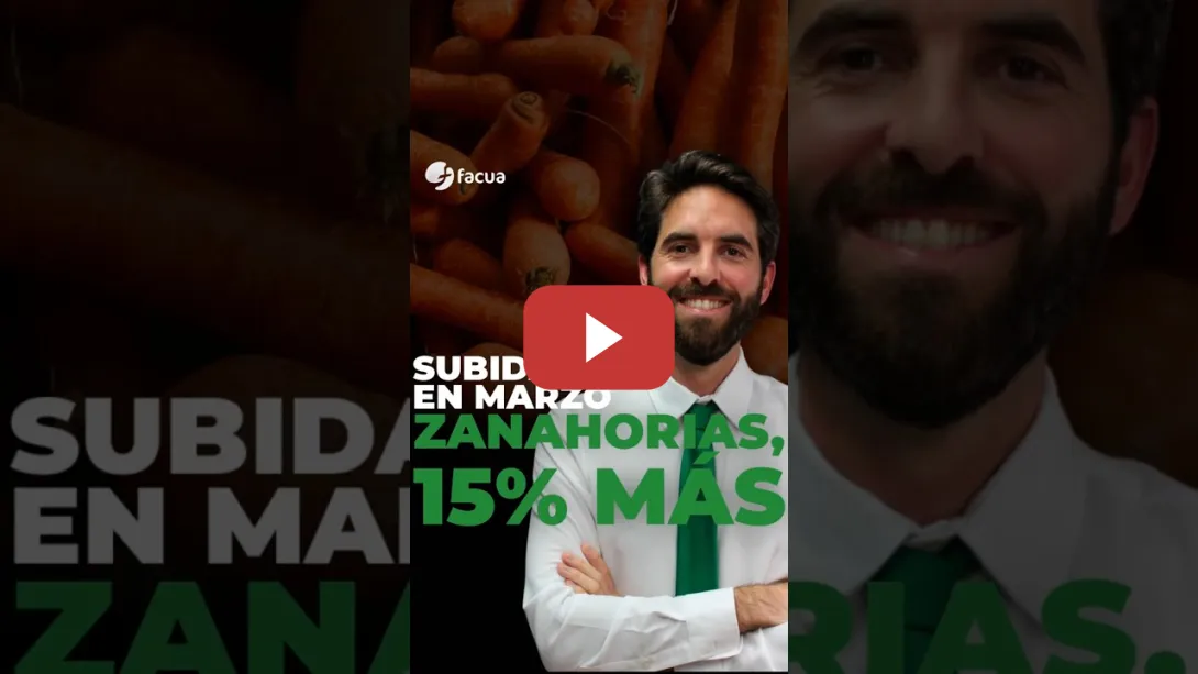 Embedded thumbnail for SUBIDAS EN MARZO: ZANAHORIAS, UN 15% MÁS