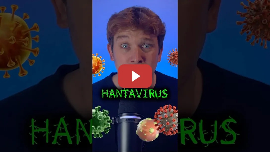 Embedded thumbnail for 🦠 Hantavirus