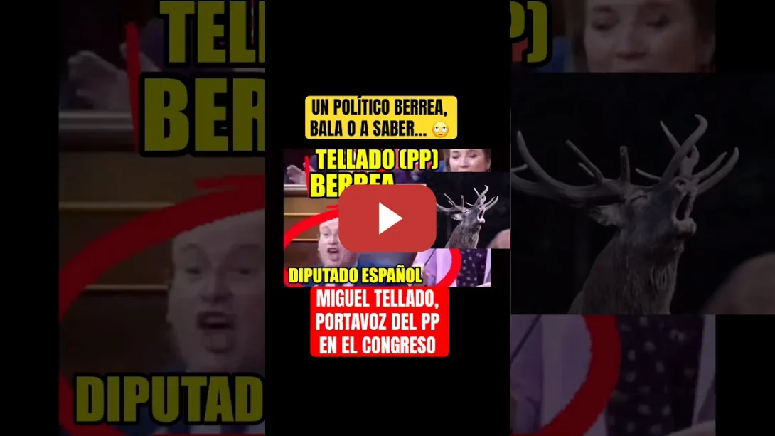 Embedded thumbnail for Un político berrea, bala o a saber… en el Congreso de los Diputados. Miguel Tellado (PP)