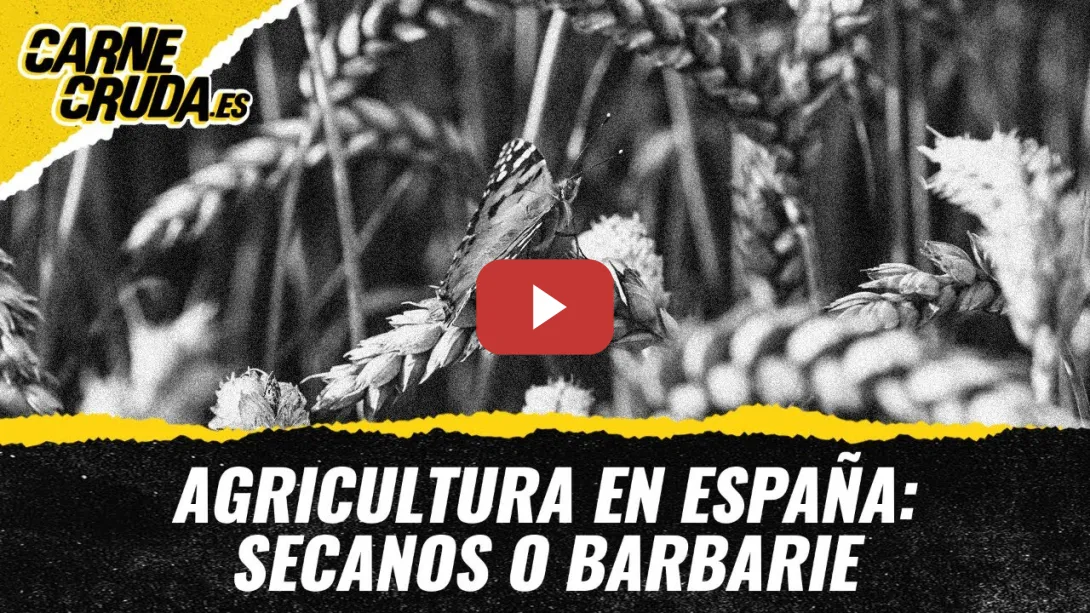 Embedded thumbnail for T11x129 - Agricultura en España: secanos o barbarie (CARNE CRUDA)