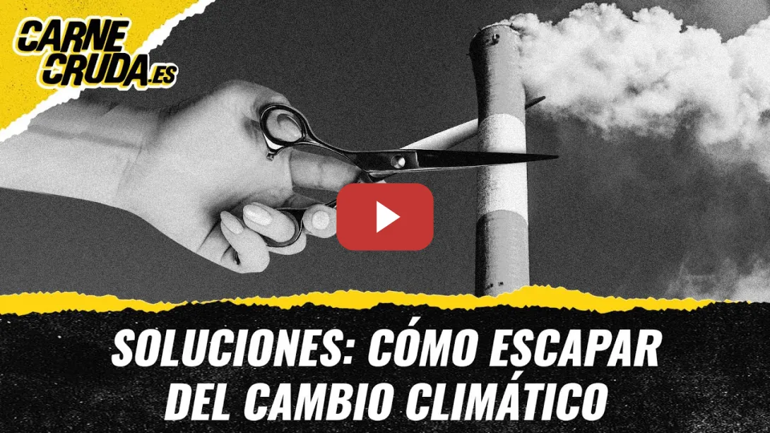 Embedded thumbnail for T11x147 - Soluciones: cómo escapar del cambio climático (CARNE CRUDA)