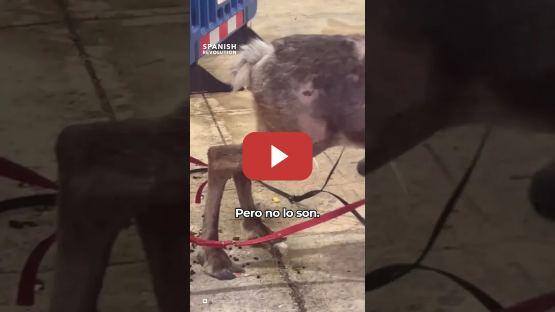 Embedded thumbnail for No normalicemos esto