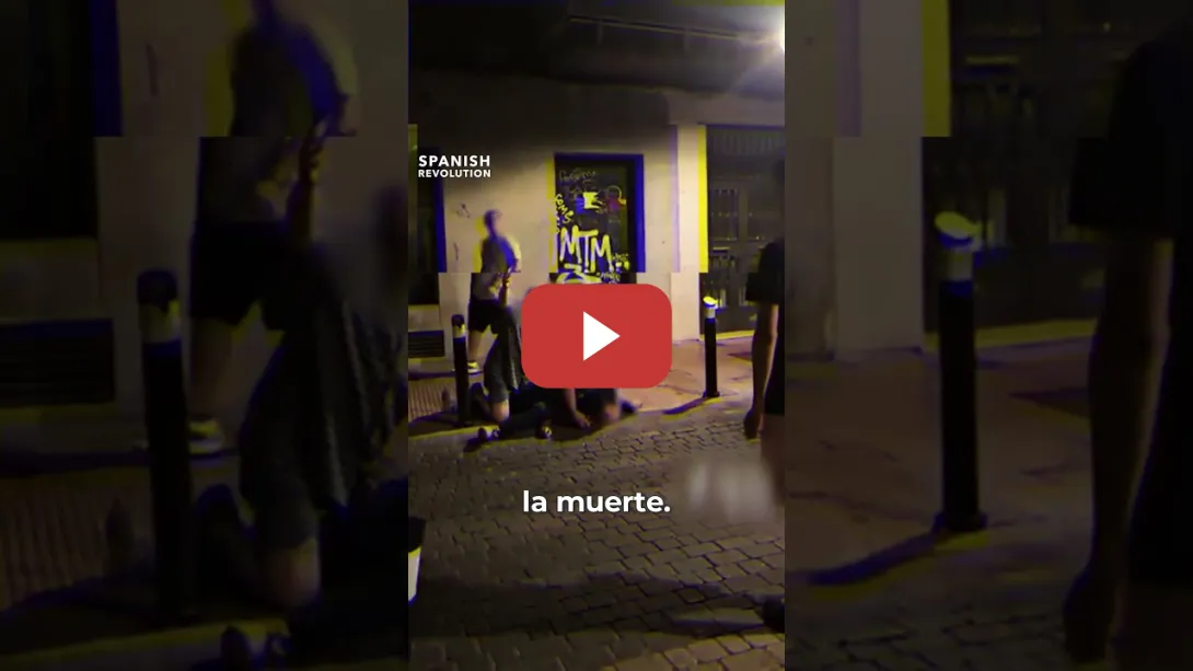 Embedded thumbnail for Brutalidad y racismo