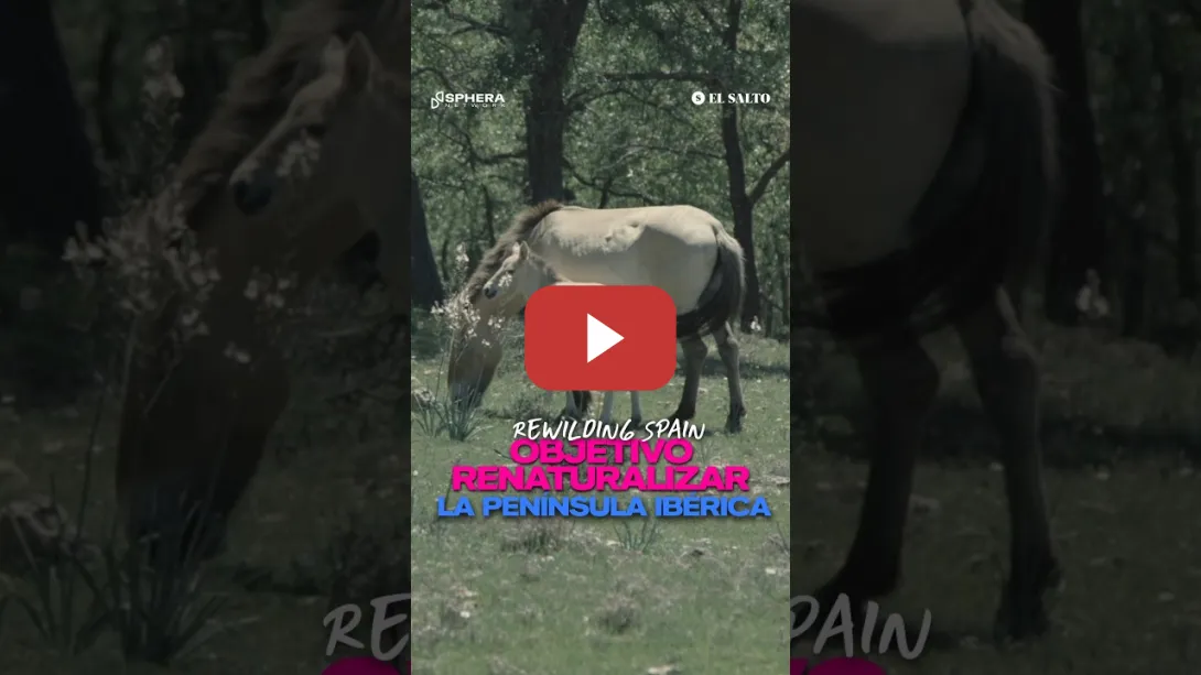 Embedded thumbnail for Objetivo renaturalizar las tierras altas de la Península Ibérica
