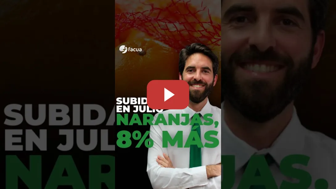 Embedded thumbnail for SUBIDAS EN JULIIO: NARANJAS, 8% MÁS