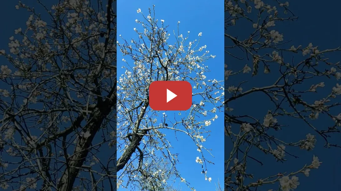 Embedded thumbnail for Tocad hierba