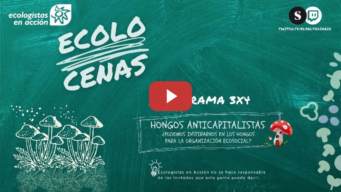 Embedded thumbnail for Ecolocenas 3x4: Hongos Anticapitalistas